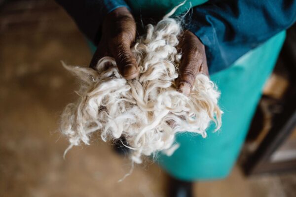 Mohair before handspinning